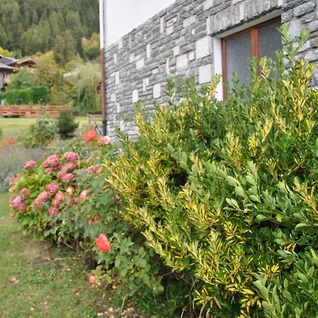Apartamento Previllair *